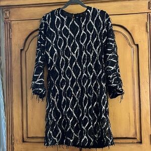 ZARA 2024 COLLECTION Fringed Sequin Minidress